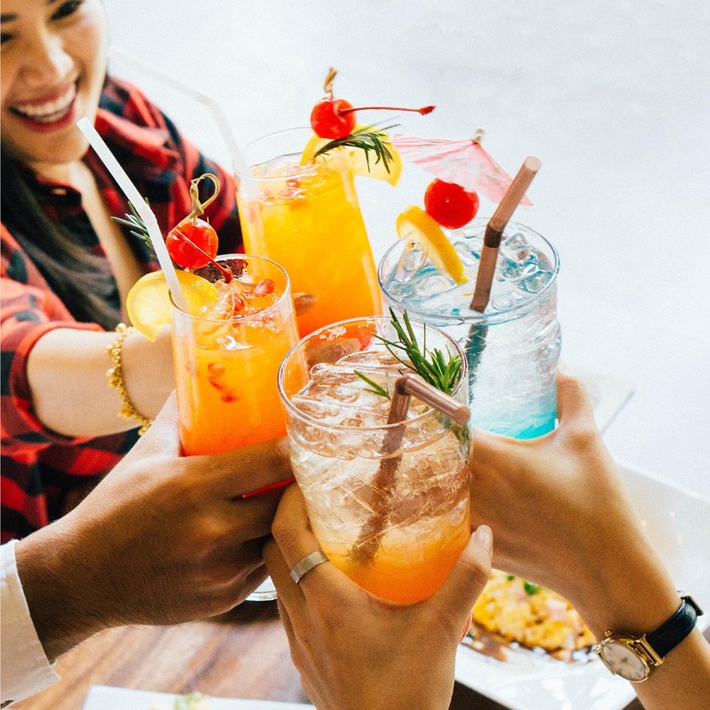 Ice Maker Filters (3)