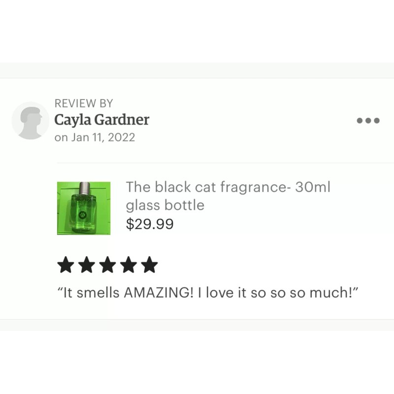 Chat Noir the Fragrance - 30 ml 🐈‍⬛ Miraculous Ladybug!