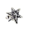 【STERLING SILVER 925】純銀 シルバー 925 ピアス スタッズ ロック ゴシック メンズ