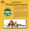 IP6 Gold, IP-6 & Myo-Inositol, Unflavored Powder 308 gm -