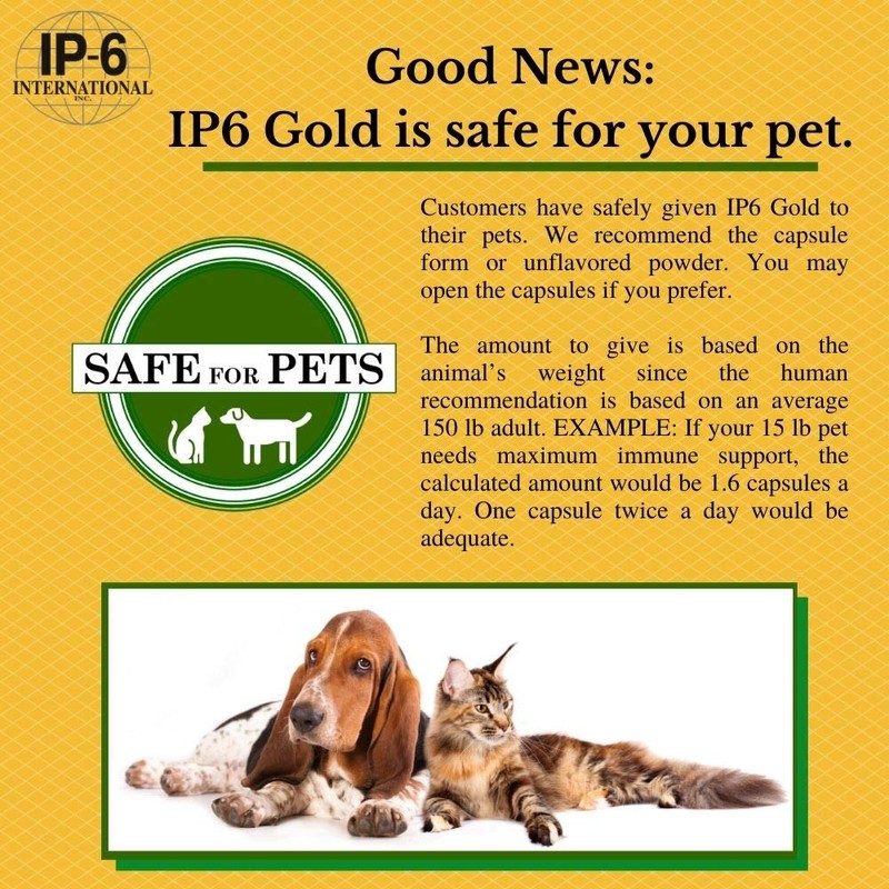 IP6 Gold, IP-6 & Myo-Inositol, Unflavored Powder 308 gm -
