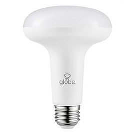 Globe Electric 33229 DuoBright LED Bulb, A19, White