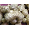 Stampede Jerusalem Artichoke Tubers (Organic) Per Tuber - Early Maturing