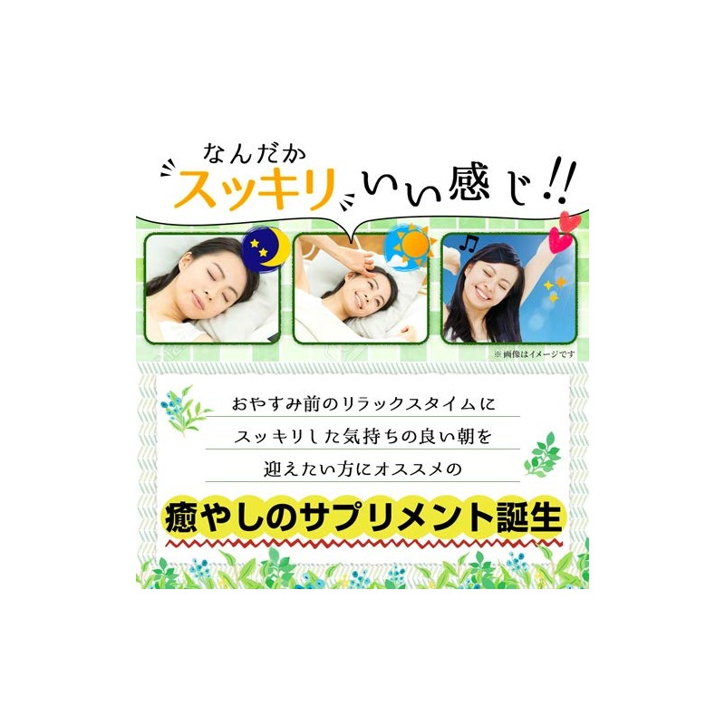 Nell Well ネルエル 180粒 約3ヶ月分 グリシン サプリメント テアニン GAVA ギャバ