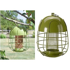Chapel Wood Acorn Steel Squirrel Proof Peanut Feeder Green