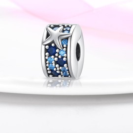 Pandach Women's Charm Pendant for Bracelet 925 Sterling Silver Charms Beads Fits Bracelet and Necklace Compatible with European Bracelets for Women Girls C4, Sterling Silver