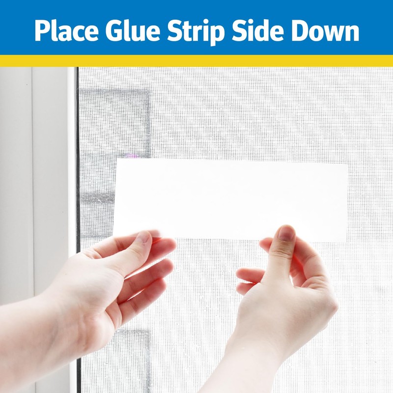 Raid Window Fly Trap, 4ct (Pack of 1)