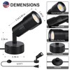 XINCLING Uplights Indoor, 10W LED Uplighting & Spot Lights with