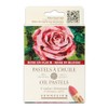 Sennelier Pastel Case Rose En Fleur 6 P