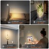 URTOM Wireless LED Spotlight Indoor with Remote Up Lights Indoor
