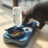 Cat Food and Water Bowls Set, Dog Cat Bowl with