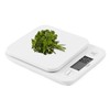 Ozeri Garden and Kitchen Scale II, with 0.1 g (0.005
