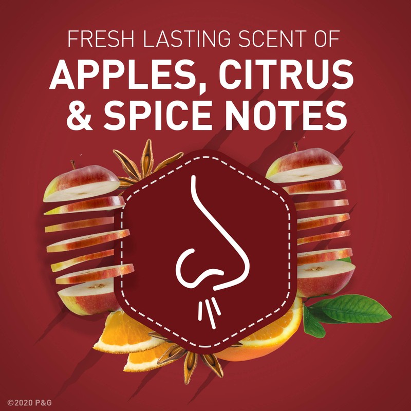 Old Spice OLD SPICE WILD COLLECTION INVISIBLE SOLID BEARGLOVE 73G