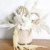 5 Pcs Cream White Hanging Amaranthus, 23" Preserved Cascading Flowers