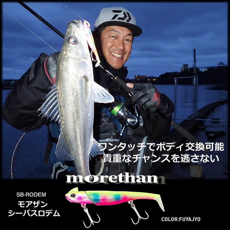 DAIWA Moissanite Sea Bass Rodem 0.6 oz (18 g) Seguroi