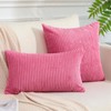 JOTOM Pack of 2 Corduroy Throw Pillow Covers Soild Decorative