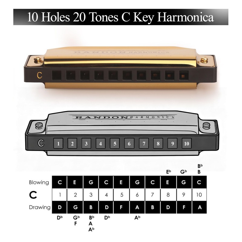 Randon Golden Harmonica Key of C with Case, 10 Holes