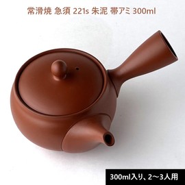 Landscape.com Tokoname Ware Teapot, 221s, Vermilion Mud, 10.1 fl oz (300 ml), Made in Japan