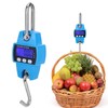 300KG Portable Mini Crane Scale Electronic Hook Hanging Weight Scale