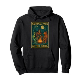 National Park After Dark Alien Bigfoot Bear Camping Pullover Hoodie