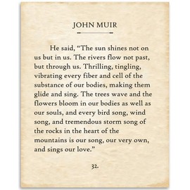 John Muir - The Sun Shines Not On Us Poster - 11x14 Unframed Typography Book Page Print - Great Inspirational and Motivational Gift and Home and Office Decor Under $15
