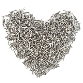 HVDHYY 500PCS Small Nails for Wood Silver Round Head Small Wooden Nail Small Nails DIY Assorted Flat Head Nail 1.5 * 15mm