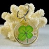 Clover Good Luck Charm Key Tag with a Real Four
