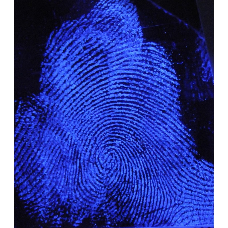 Luminol Spray, 2 Oz.