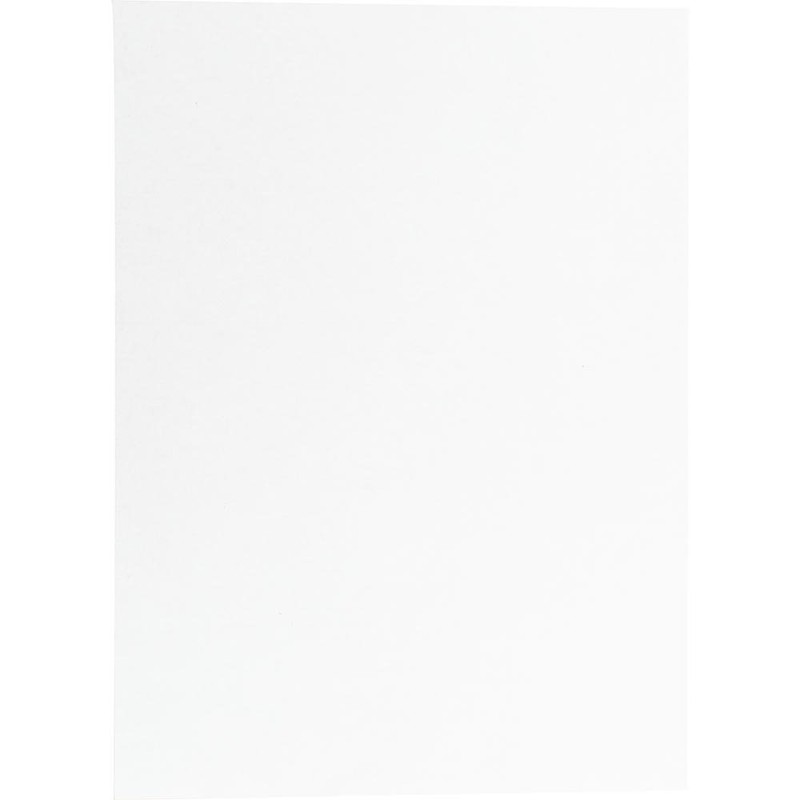 呉竹 半紙 書道用 特選 書道半紙 霞草 50枚入 LA5-3