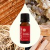 Plant Therapy Chakra 1 Grounded Foundation (Root Chakra) Essential Oil