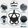 Houdini™ Escape Proof Cat Harness and Leash Set by OutdoorBengal