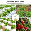 Aatacas Seed Starter Kit - 28 PCS 1.5 in Rockwool