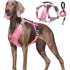 Veterinaria: UNA MASCOTA Pechera Arnés De Seguridad para Perro Chico Mediano Y Grande con Correa 1.5m (Rosa, M)