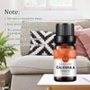 RAINBOW ABBY 6-Pack Orangic 100% Pure Essential Oil Set (Vanilla,