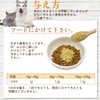 Dog Cat No Additives Enzyme Supplement (Up-And-Coming Live Enzyme G)