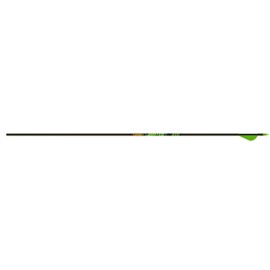 Gold Tip Hunter XT Arrows with 2-Inch Raptor Vanes (1-Dozen), 340, Color May Vary