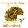 majcka4 Lengua de vaca Raiz ½ oz Hierbas Yellowdock Root