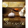 【健康家族】伝統にんにく卵黄 極 31粒入 ピュアDHA オメガ3 九州産有機にんにく王 にんにく成分｢GSAC｣ アリイン EPA DPA