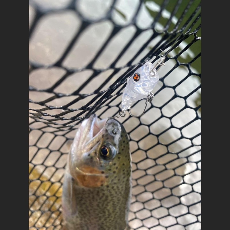 DAIWA Popper/Lure Presso Rattlin Poppin Bug Clear Line