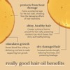 Fushi Really Good Hair Oil 100ml For Boosting Shine and