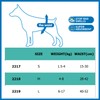 BPS BPS-2218 Male Dog Pet Hygiene Pants 3 Sizes to