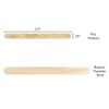 Perfect Stix- PS Mini 3.5" Craft 3.5" Mini Craft/Spa/Ice Cream