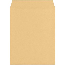 King Corporation Kraft Envelopes, Square No. 0, 100 ct.