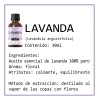 3 Pack Aceite Esencial Puro Lavanda Menta Eucalipto 30ml C/u
