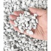 15 QT Professional Grade Horticultural Organic Perlite (15 QT, Large