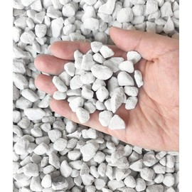15 QT Professional Grade Horticultural Organic Perlite (15 QT, Large Size - Perlite)