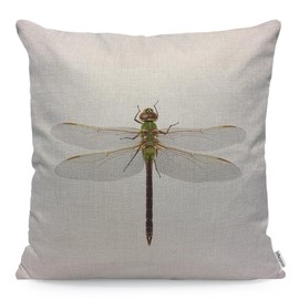 WONDERTIFY Dragonfly Cushion Cover Darner Dragonfly Clipping Path Decorative Throw Pillow Covers, Sofa Pillow Case Green 45X45 Cm