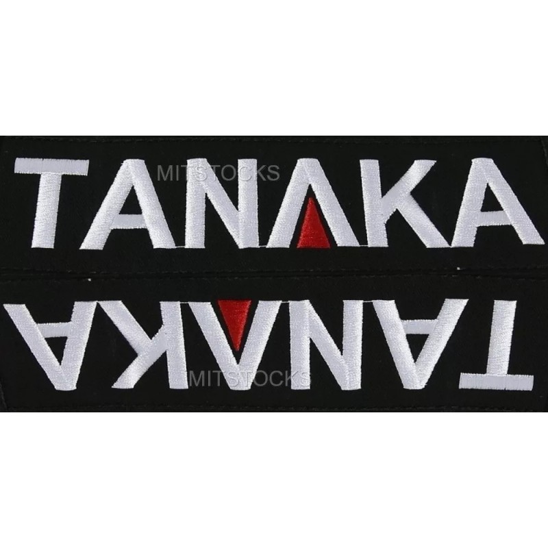 TANAKA 2X TANAKA UNIVERSAL LIGHT GRAY SILVER 4 POINT BUCKLE