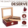 Mantello Cigars Glass Top Cigar Humidors - Humidor Cigar Box