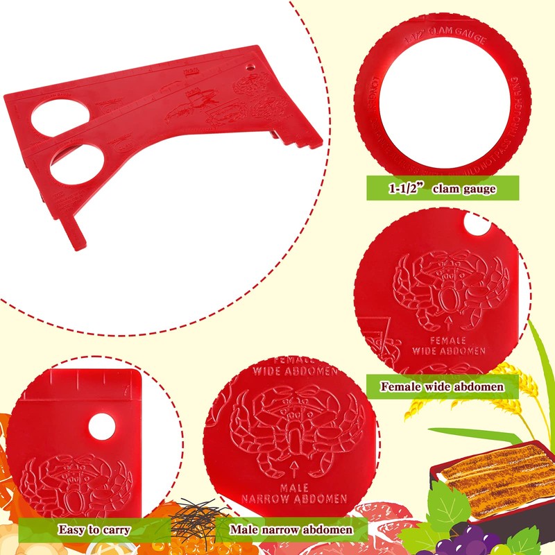 Kathfly 4 Pcs Crab Gauge Measure Clam Measuring Tool for